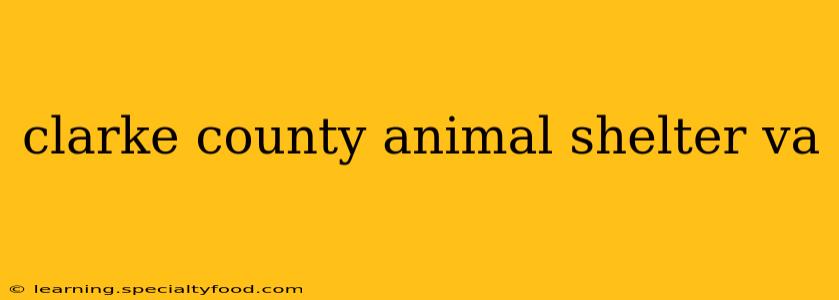 clarke county animal shelter va