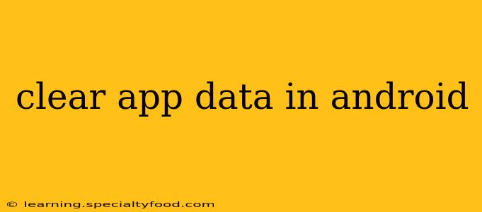 clear app data in android