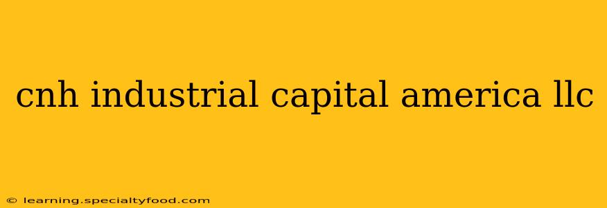 cnh industrial capital america llc