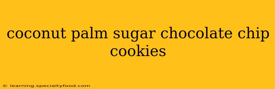 coconut palm sugar chocolate chip cookies
