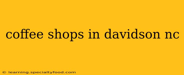 coffee shops in davidson nc