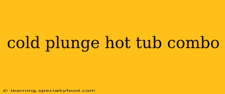 cold plunge hot tub combo