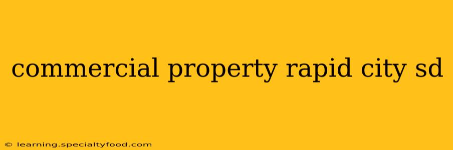 commercial property rapid city sd