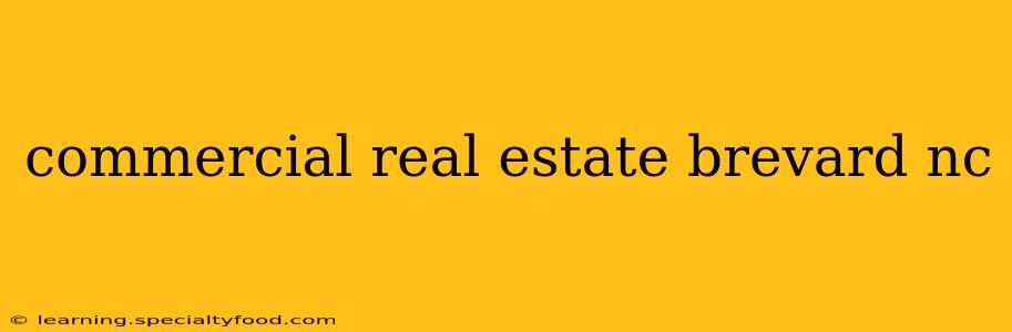 commercial real estate brevard nc