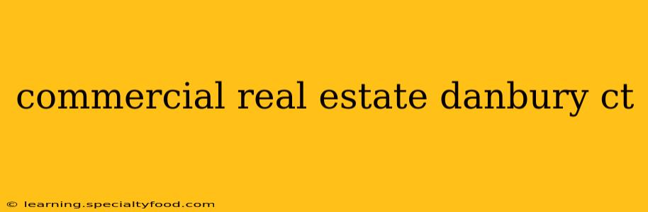 commercial real estate danbury ct