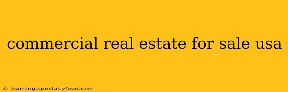 commercial real estate for sale usa