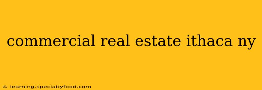 commercial real estate ithaca ny