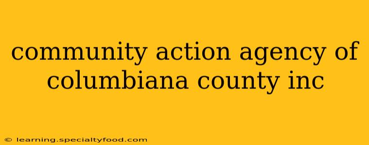 community action agency of columbiana county inc
