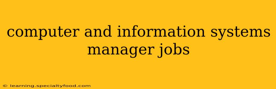 computer and information systems manager jobs