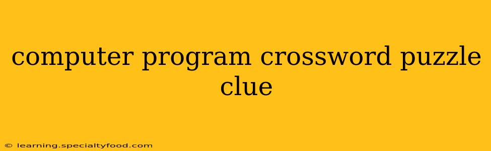 computer program crossword puzzle clue