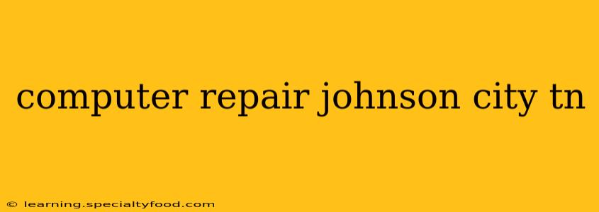 computer repair johnson city tn