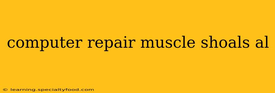 computer repair muscle shoals al