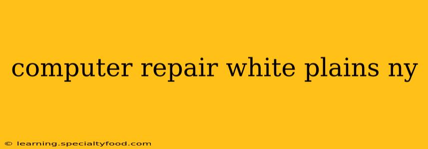 computer repair white plains ny
