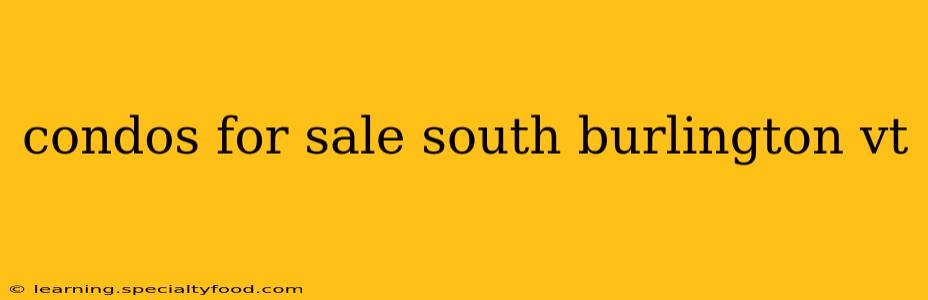 condos for sale south burlington vt