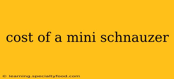 cost of a mini schnauzer
