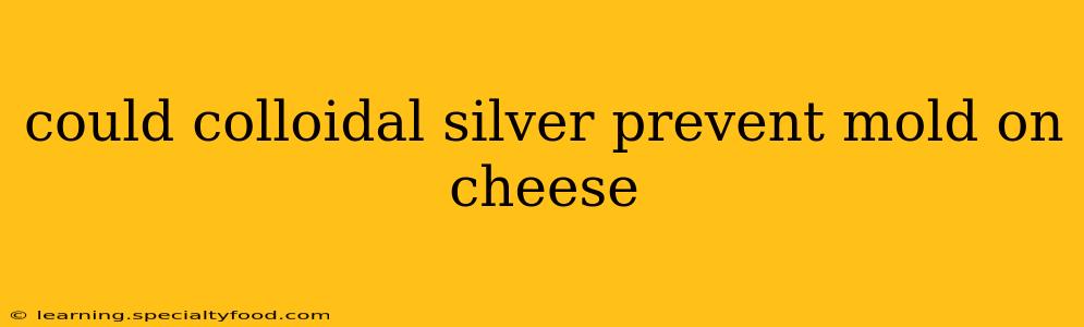 could colloidal silver prevent mold on cheese