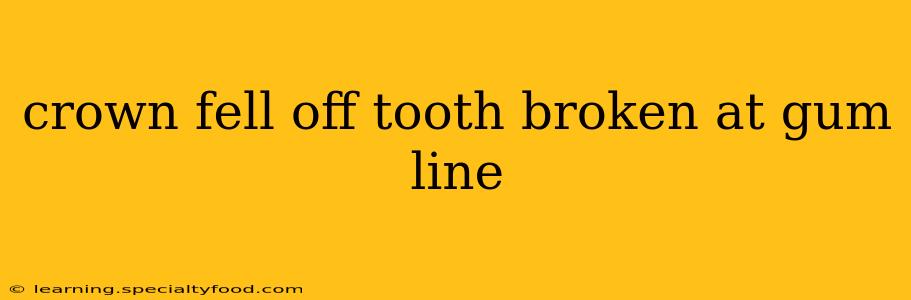 crown fell off tooth broken at gum line