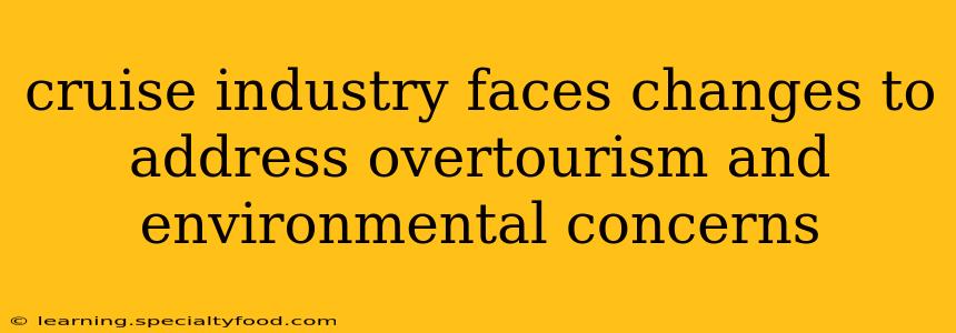 cruise industry faces changes to address overtourism and environmental concerns