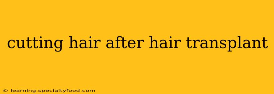 cutting hair after hair transplant