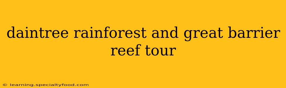 daintree rainforest and great barrier reef tour