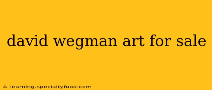 david wegman art for sale