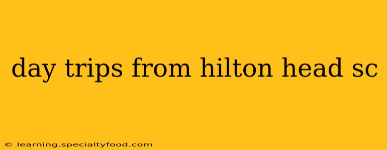 day trips from hilton head sc