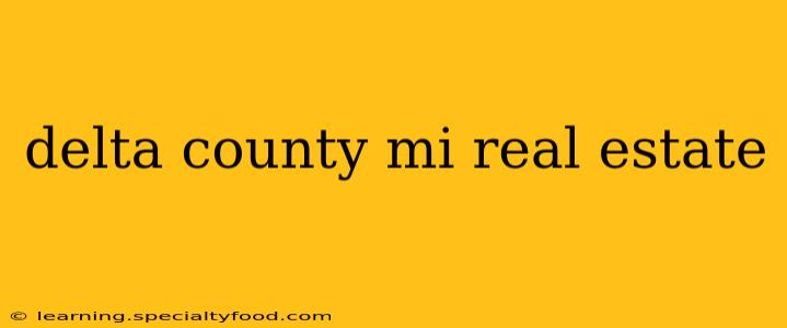 delta county mi real estate