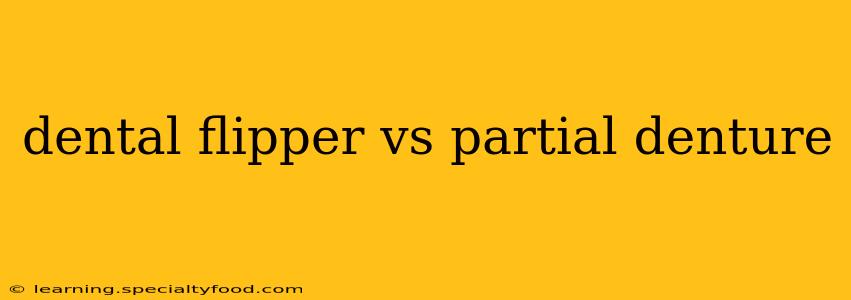 dental flipper vs partial denture