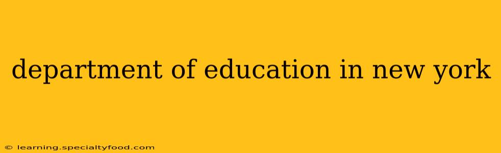 department of education in new york