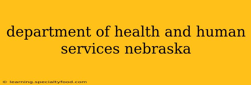 department of health and human services nebraska