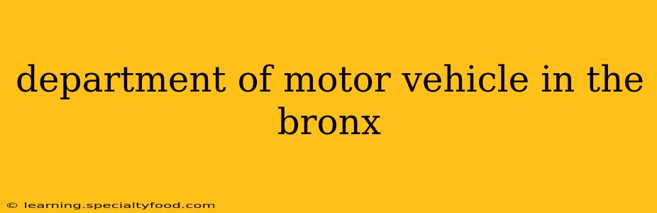 department of motor vehicle in the bronx
