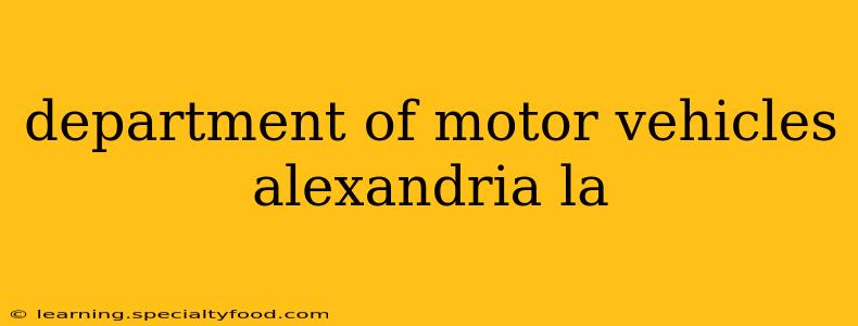 department of motor vehicles alexandria la