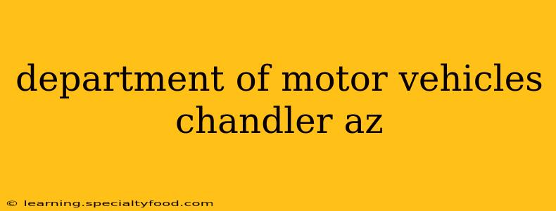 department of motor vehicles chandler az