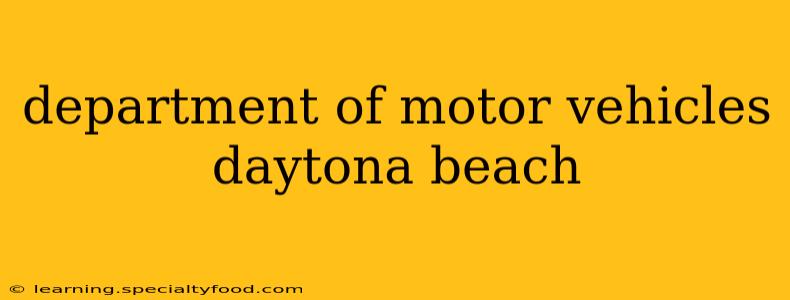 department of motor vehicles daytona beach