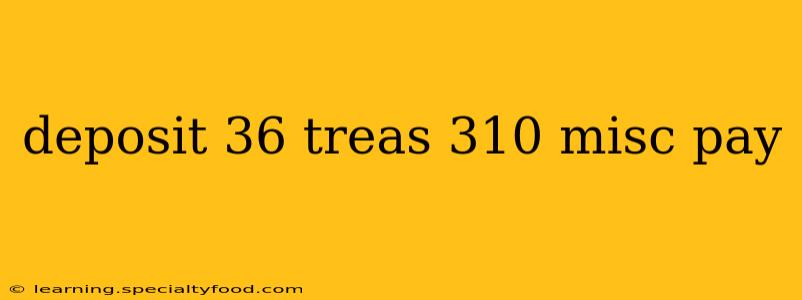 deposit 36 treas 310 misc pay