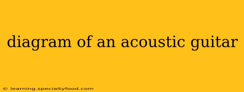 diagram of an acoustic guitar