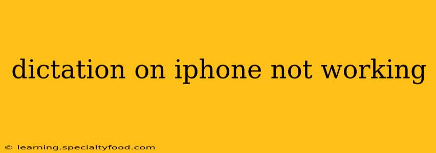 dictation on iphone not working