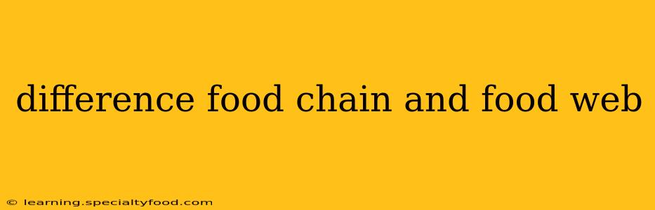 difference food chain and food web