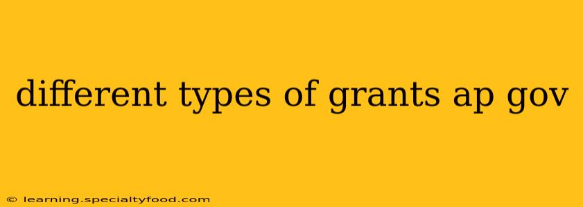 different types of grants ap gov