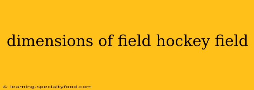 dimensions of field hockey field
