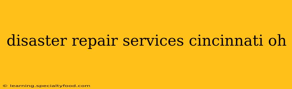 disaster repair services cincinnati oh