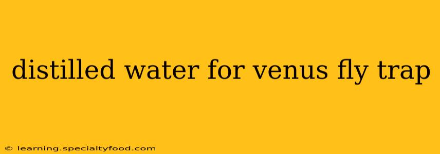 distilled water for venus fly trap