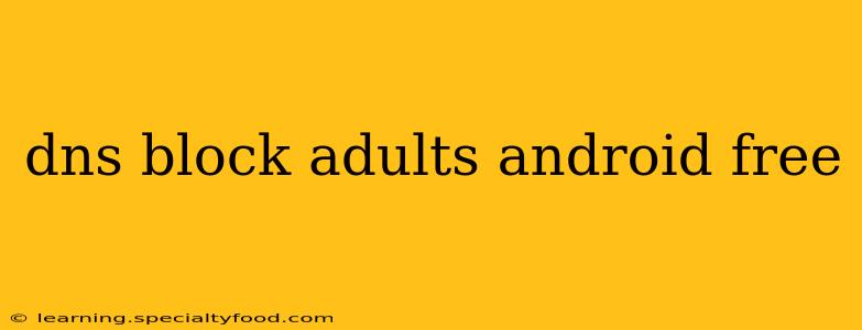 dns block adults android free