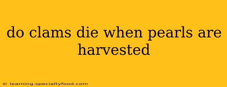 do clams die when pearls are harvested