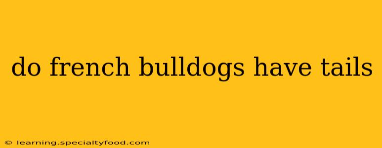 do french bulldogs have tails