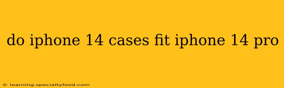 do iphone 14 cases fit iphone 14 pro
