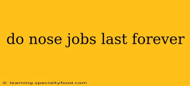 do nose jobs last forever