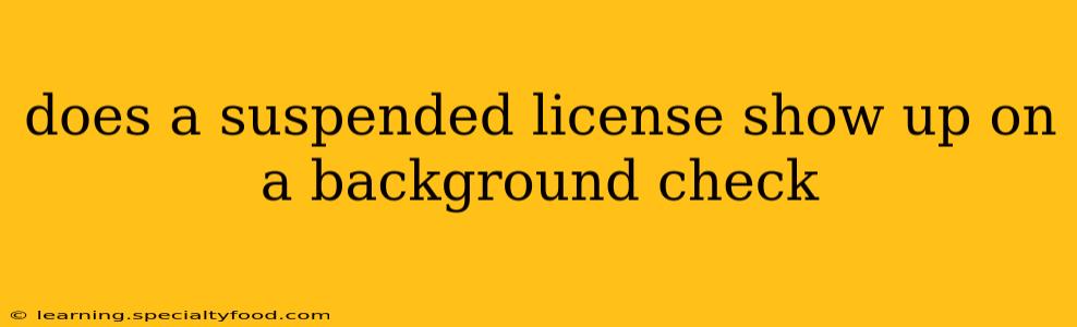 does a suspended license show up on a background check