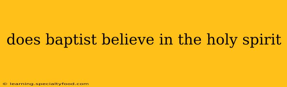 does baptist believe in the holy spirit