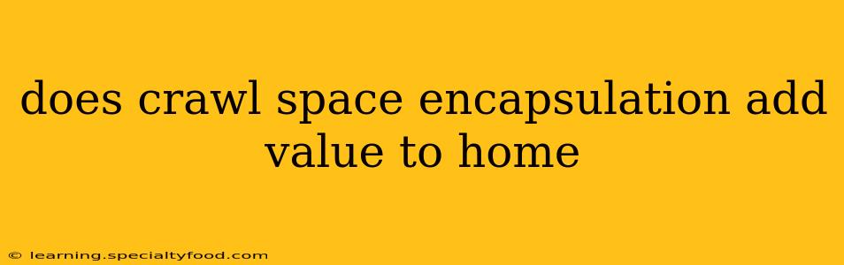 does crawl space encapsulation add value to home